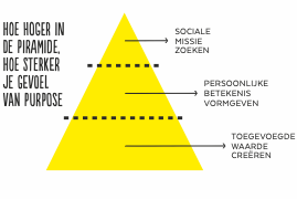 purpose piramide